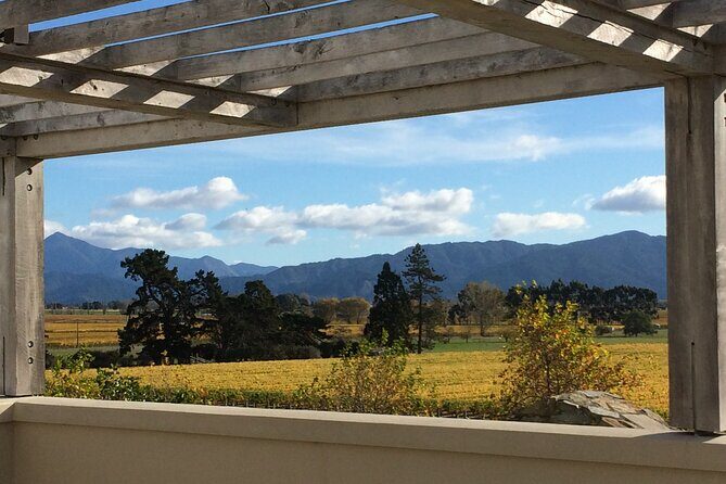 Full-Day Omaka Aviation Heritage Center and Wine Tasting Tour - Makana Confections Chocolate Stop: Pinot Noir Truffles and Macadamia Butter Crunch