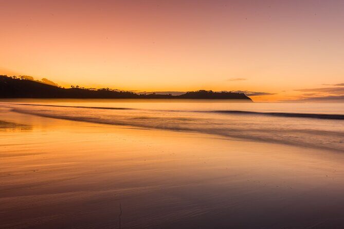 Full Day Private Waiheke Island Wine Tour Including Lunch - Three Cellar Doors: Premium or Reserve Tastings Done Right