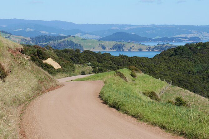 Full Day Private Waiheke Island Wine Tour Including Lunch - Tailored Wine Choices: Your Tasting Plan, Your Pace
