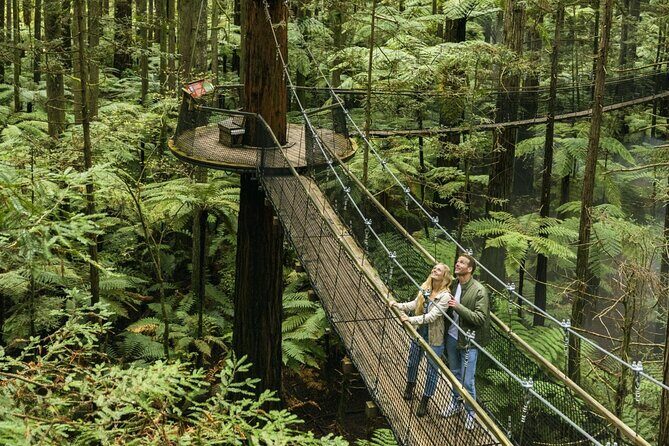 FULL DAY ROTORUA TOUR - Fully Customisable 13 hours Unlimited KMS - How to plan for the 13-hour limit without feeling rushed