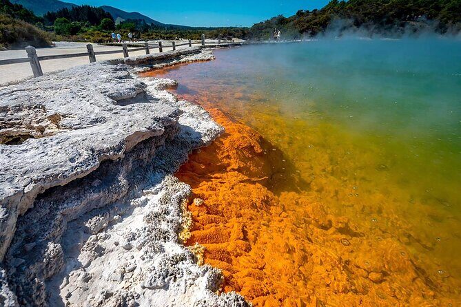 FULL DAY ROTORUA TOUR - Fully Customisable 13 hours Unlimited KMS - Rotorua’s geothermal parks compared: Te Puia, Hell’s Gate, Wai-O-Tapu, Waimangu