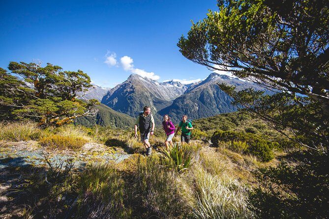 Full-Day Routeburn Track Key Summit Guided Walk from Te Anau - Key highlights you’ll care about