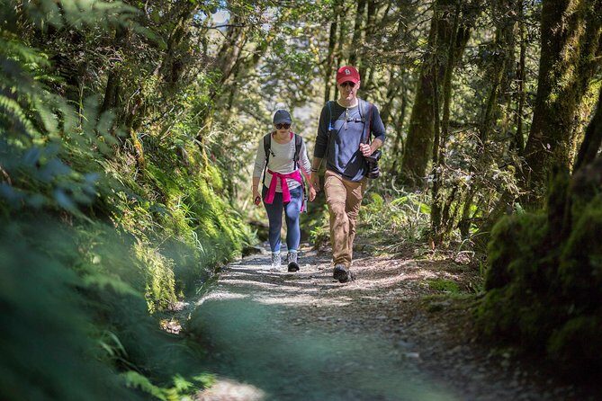 Full-Day Routeburn Track Key Summit Guided Walk from Te Anau - The climb: Divide Shelter up the Routeburn Track (about 2 hours)