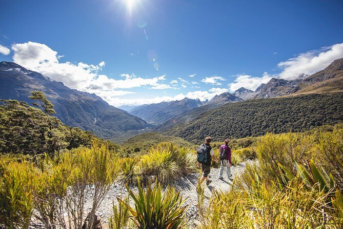 Full-Day Routeburn Track Key Summit Guided Walk from Te Anau - Key Summit lunch: the best part, with a weather backup