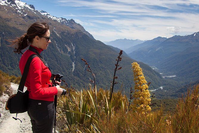 Full-Day Routeburn Track Key Summit Guided Walk from Te Anau - The descent back to the Divide: where smart pacing pays off