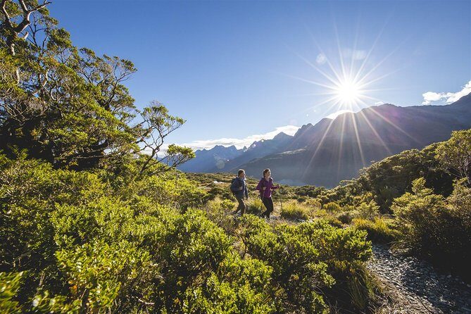 Full-Day Routeburn Track Key Summit Guided Walk from Te Anau - What to pack for Fiordland: the practical checklist that prevents problems