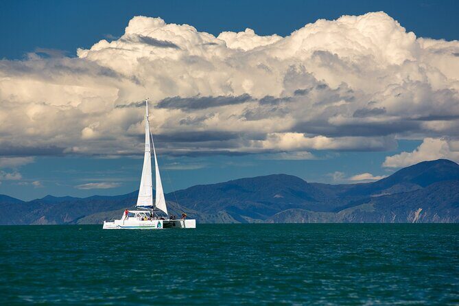Full-Day Sailing Adventure in the Abel Tasman National Park - Anchorage Beach hour: picnic lunch, swimming, and the forest walk