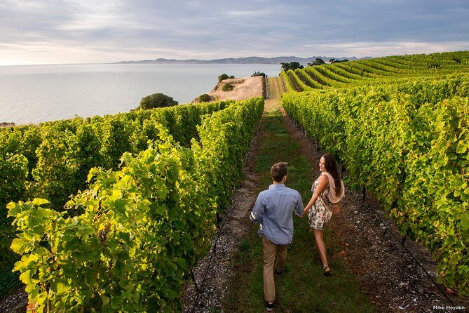 Full-Day Taste the Wines of Marlborough Tour - Key highlights worth penciling in