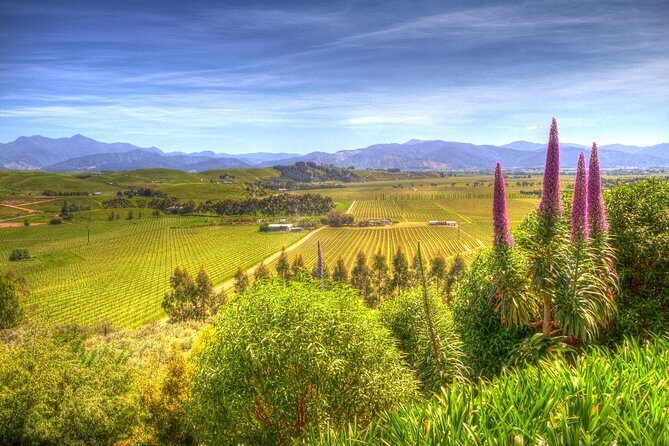 Full-Day Wine Gourmet and Scenic Delight Tour of Marlborough from Blenheim - Key things to know before you go