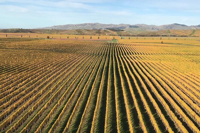 Full-Day Wine Gourmet and Scenic Delight Tour of Marlborough from Blenheim - Stop 3: Allan Scott Family Winemakers and the Fun, Flavor-Forward Sips