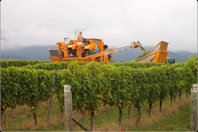 Full-Day Wine Gourmet and Scenic Delight Tour of Marlborough from Picton - Key highlights to clock before you go