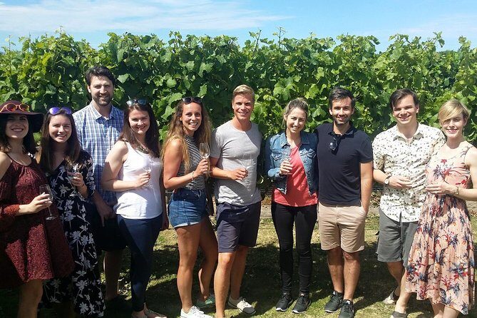 Full-Day Wine Gourmet and Scenic Delight Tour of Marlborough from Picton - The Vines Village: a tasting hub for wine, gin, and beer lovers
