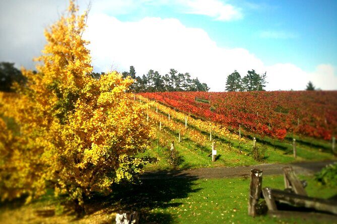 Full-Day Wine Tasting Tour in Auckland with 3-Course Vineyard Lunch - Stop 3: Westbrook Winery in the Ararimu Valley