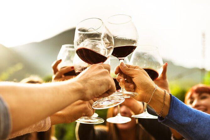 Full-Day Wine Tasting Tour in Auckland with 3-Course Vineyard Lunch - The 3-course vineyard lunch (and why it’s the payoff)