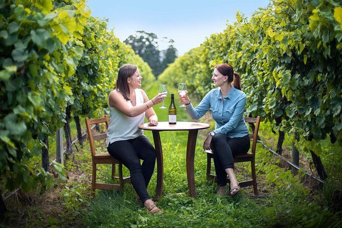Full-Day Wine Tour from Blenheim - Wairau Valley Pickup: The Easiest Way to Do Marlborough Wine