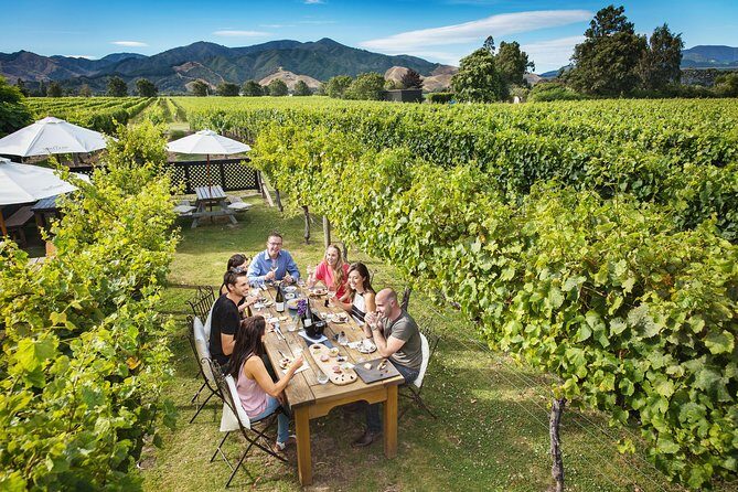 Full-Day Wine Tour from Blenheim - Guide and Group Size: The Relaxed Style That Makes Days Like This Work