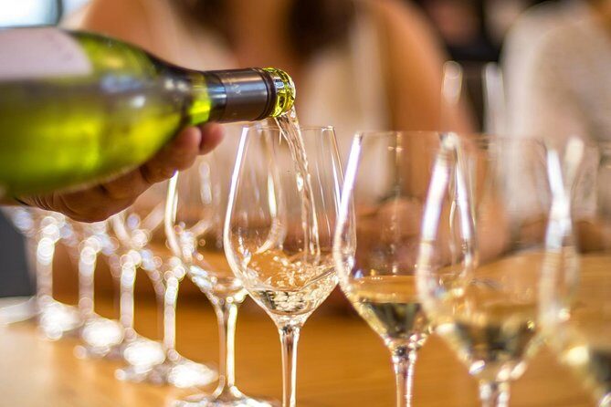 Full-Day Wine Tour from Blenheim - Who This Wine Tour Suits Best