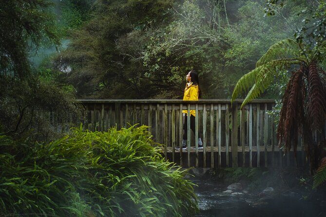 Full Waimangu Experience - Walk & Cruise - Entering Waimangu Volcanic Valley: walk options from easy to rugged
