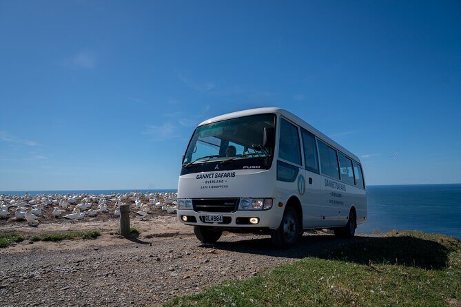 Gannet Safaris Overland tour to Cape Kidnappers Gannet Colony - Price and value: is $61.44 per person a fair deal?