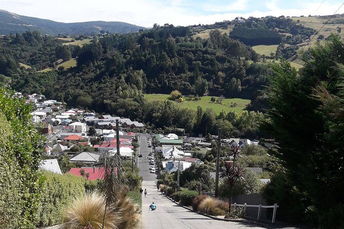 Garden and City tour - Dunedin Botanic Garden: Aviaries, Upper Gardens, and Sensible Time