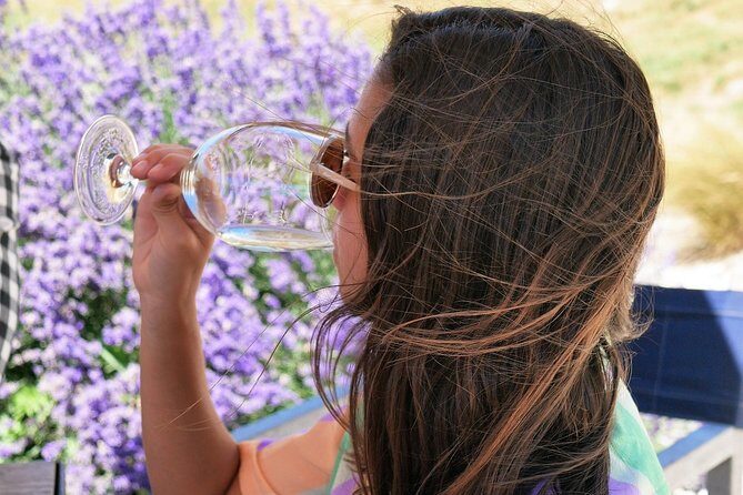 Gibbston Half-Day Private Wine Tour with Hotel Pickup - Four cellar doors in Gibbston: what you’ll experience