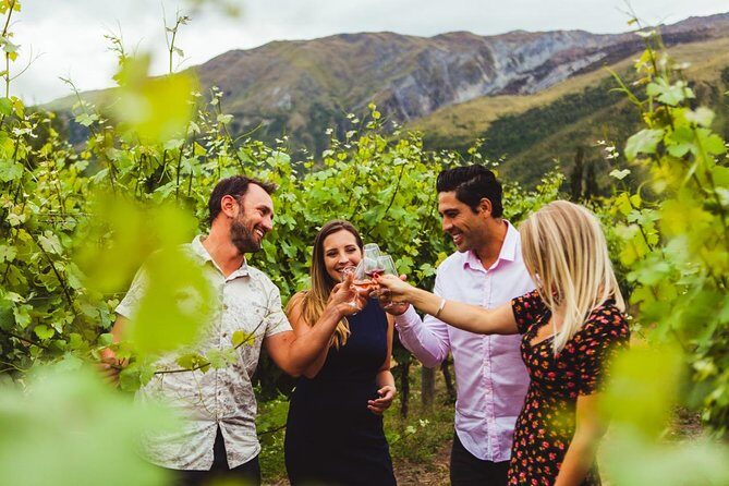 Gibbston Valley Wines - Winery Tour - Should you book this Gibbston Valley Winery Tour?