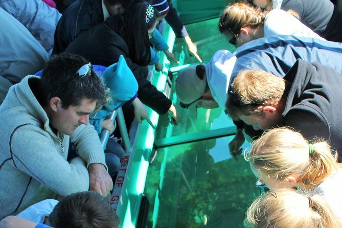 Glass Bottom Boat Tour - Key highlights you’ll care about