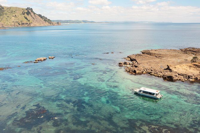 Glass Bottom Boat Tour - Getting to Goat Island Marine Reserve (Leigh) without stress