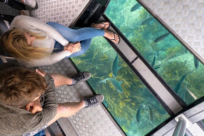 Glass Bottom Boat Whitianga Cathedral Cove Cruise - Glass-Bottom Boat Whitianga: What You Actually See Under the Hull