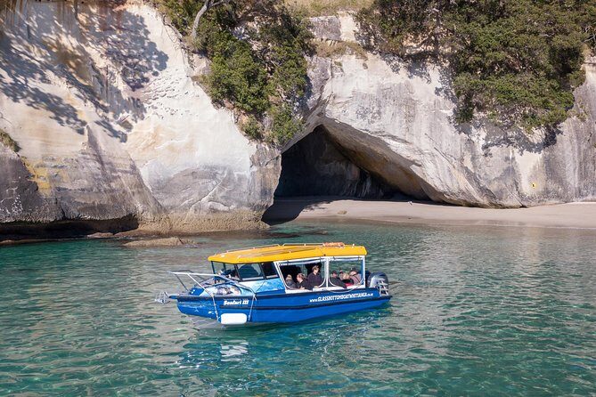 Glass Bottom Boat Whitianga Cathedral Cove Cruise - Glass Panels and Fish: A Great Setup, Not a Guaranteed Aquarium
