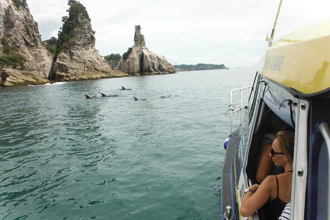 Glass Bottom Boat Whitianga Cathedral Cove Cruise - Crew Commentary That Turns a Short Cruise Into a Real Lesson