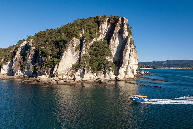 Glass Bottom Boat Whitianga Cathedral Cove Cruise - Where to Start: Whitianga Wharf, Daily Departures, and Local Tips