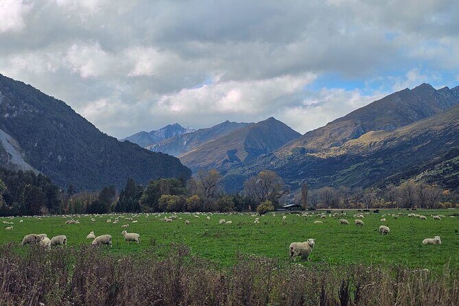 Glenorchy Private Day Trip from Queenstown: TravelnGo - Mrs Woolly’s General Store for Lunch and Coffee Breaks