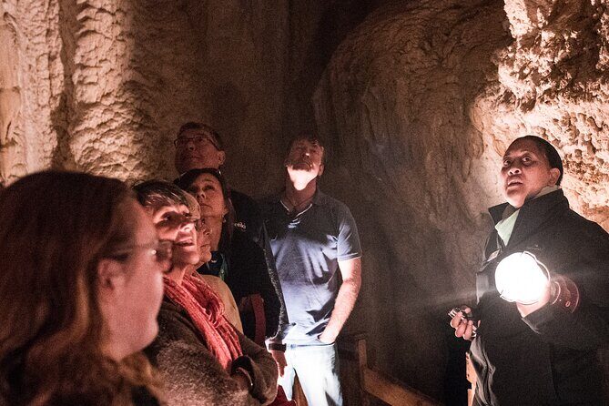 Glow Worm Caves Express Tour in Bay of Islands - Key highlights you’ll notice fast