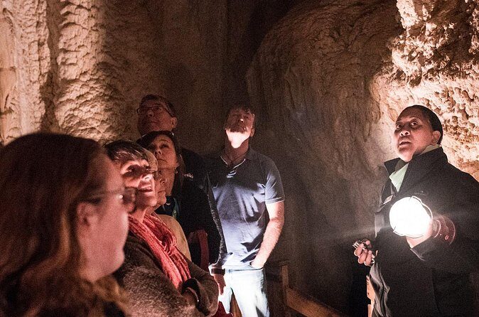 Glow Worm Caves Express Tour in Bay of Islands - Why this Express Tour works so well on a cruise day