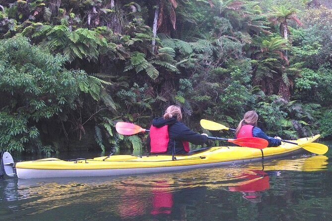 Glowworm Kayak Adventure on the Waikato River - Key things I’d plan around
