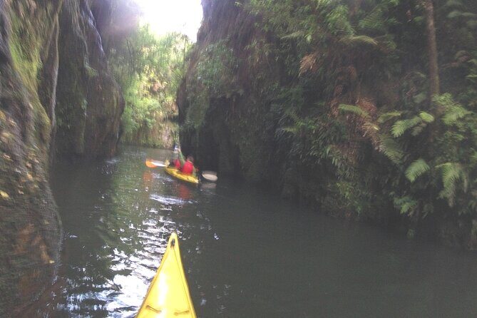 Glowworm Kayak Adventure on the Waikato River - Waikato Glowworm Kayaking: Why This Feels Different