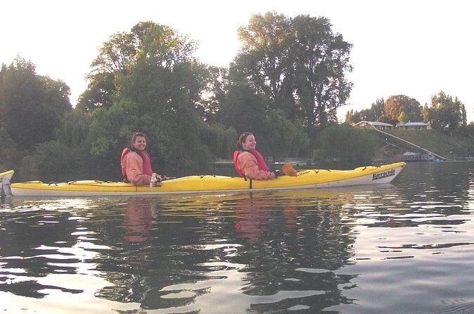 Glowworm Kayak Adventure on the Waikato River - Dusk Glowworm Canyon Drift: The Best Part and How It Plays Out