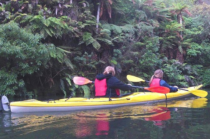 Glowworm Kayak Adventure on the Waikato River - Price and Value: Is $62.06 Worth It?