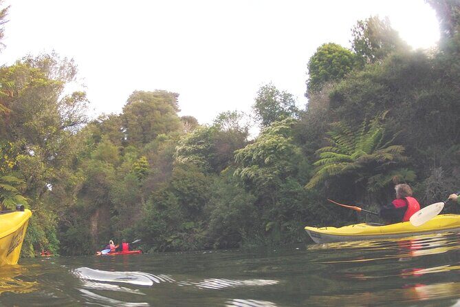 Glowworm Kayak Adventure on the Waikato River - Start at 116 Finlay Road: Set Up, Safety Gear, and First-Time Comfort