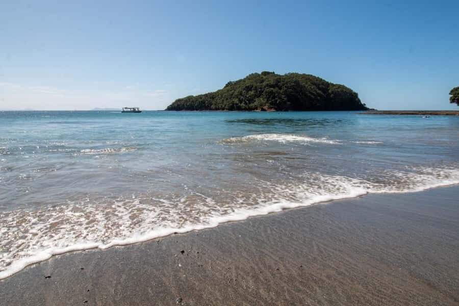 Goat Island: Glass Bottom Boat Tour - Goat Island Marine Reserve: The Simple Reason This Tour Works