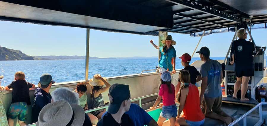 Goat Island: Glass Bottom Boat Tour - The Aquador Glass-Bottom Boat: Watching Underwater Without Getting Wet