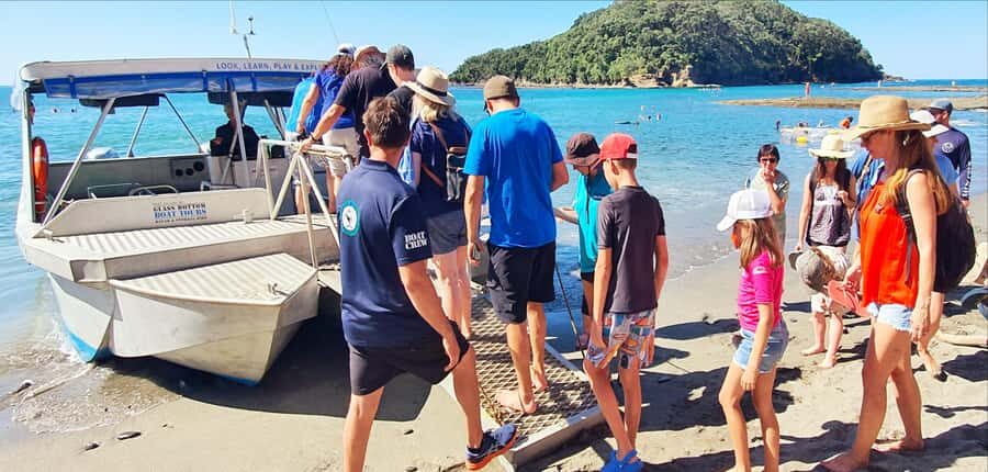 Goat Island: Glass Bottom Boat Tour - Wildlife Chances: Dolphins, Orcas, Whales, and Sharks (When You’re Lucky)
