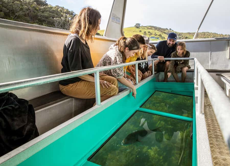 Goat Island: Glass Bottom Boat Tour - Who This Tour Fits Best (And Who Might Skip It)