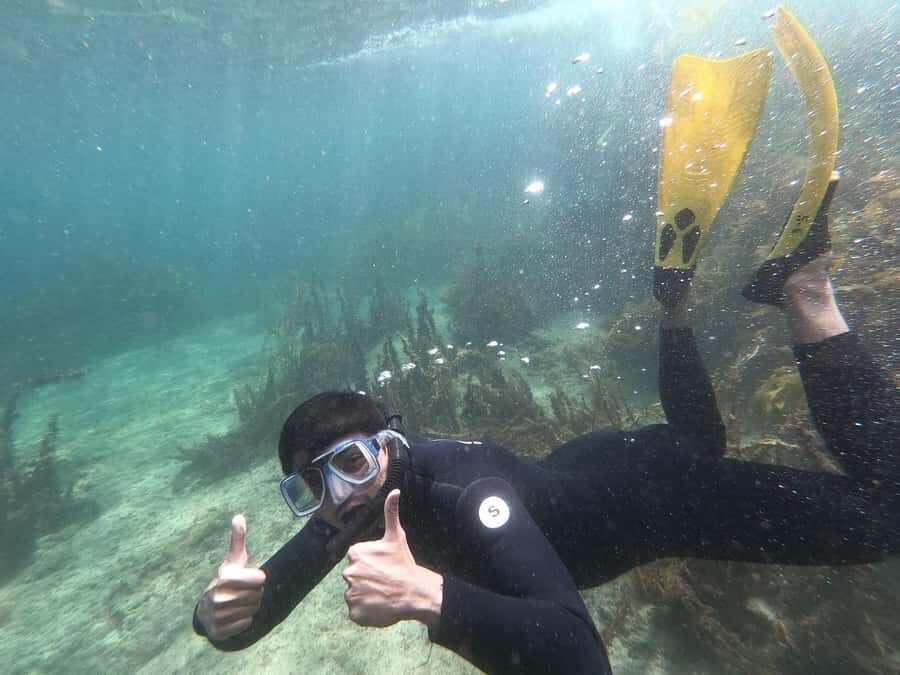 Goat Island Guided Snorkelling Tour For Advanced - Quick highlights that make this advanced snorkel lesson worth it