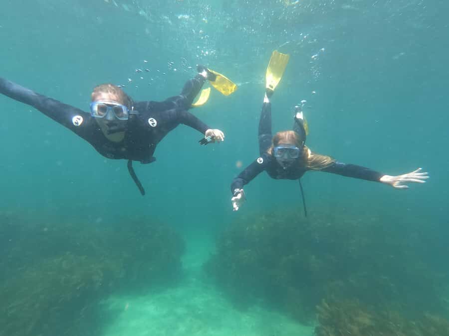 Goat Island Guided Snorkelling Tour For Advanced - Your gear fit: wet suit, weight belt, and the comfort piece people forget