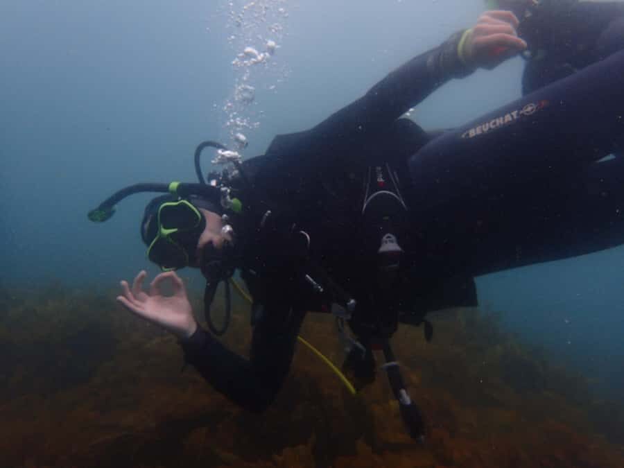 Goat Island Try Scuba Diving Experience - Underwater etiquette that keeps the experience fun