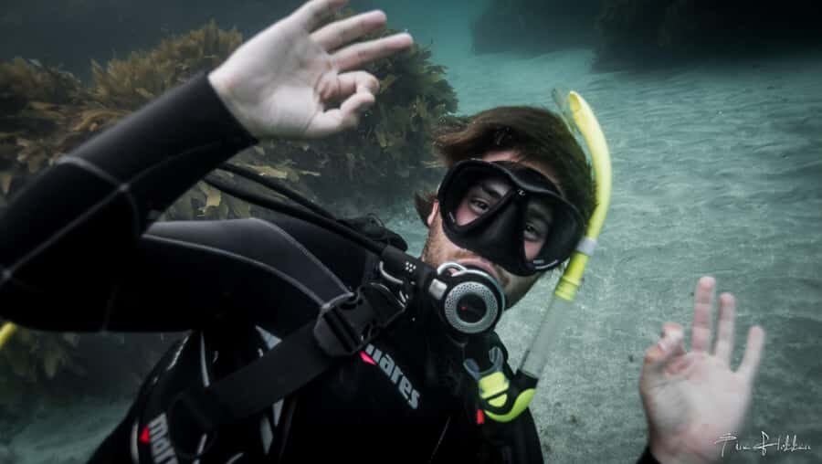 Goat Island Try Scuba Diving Experience - Goat Island Try-Scuba: what you’re really buying