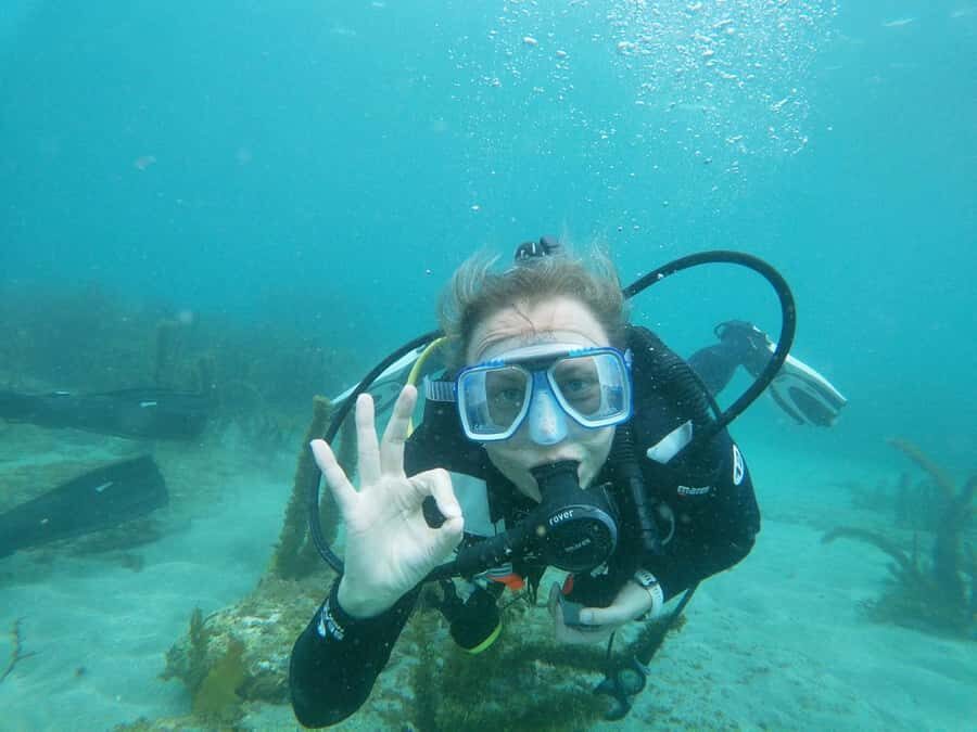 Goat Island Try Scuba Diving Experience - Price and value: is $166 worth it?