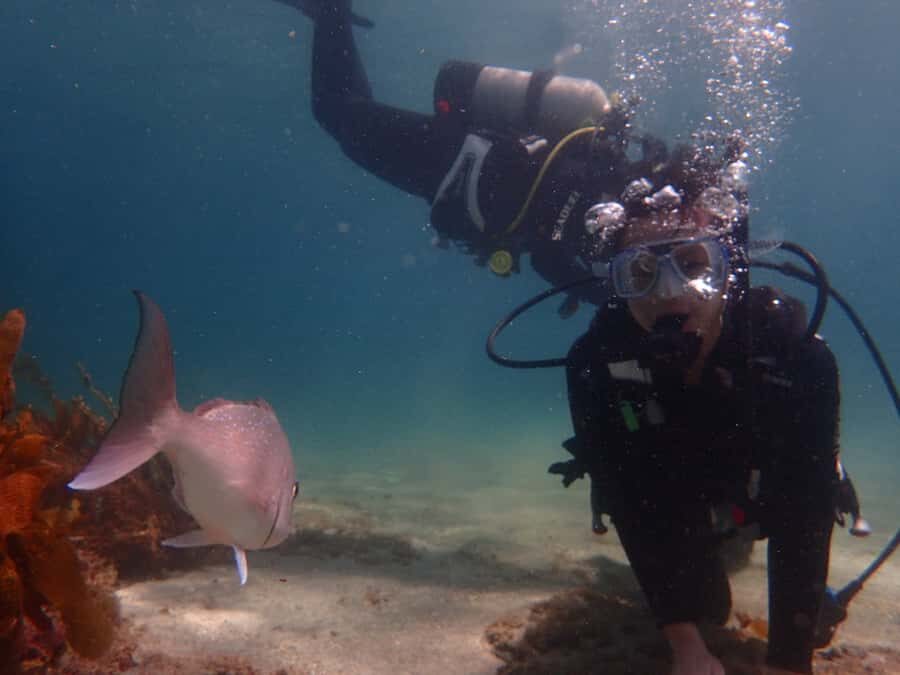 Goat Island Try Scuba Diving Experience - Who this try-scuba session suits best (and who should skip it)